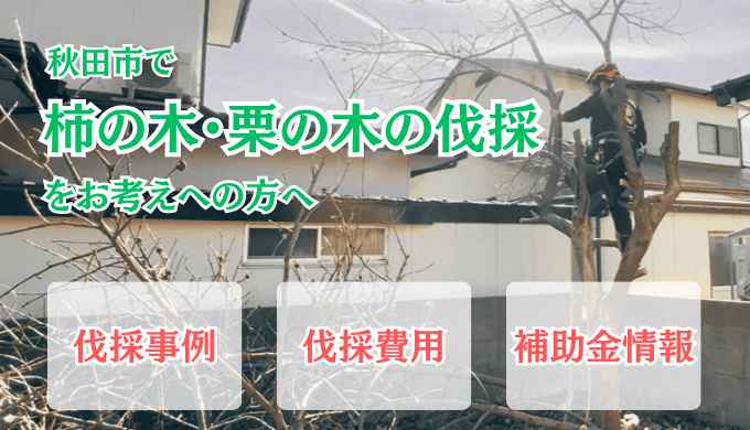 秋田柿の木栗の木伐採アイキャッチ