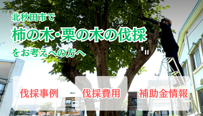 北秋田柿の木栗の木伐採アイキャッチ